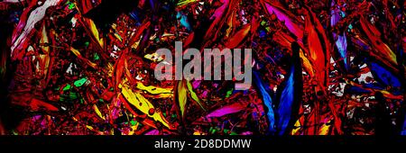 colored splashes in abstract shape, panoramic image Stock Photo
