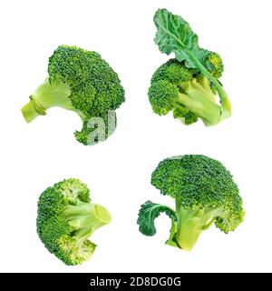 Broccoli isolated on white background. Raw broccoli vegetable collection Stock Photo
