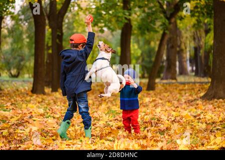 Family wearing protective masks playing in park in distance from other people Stock Photo
