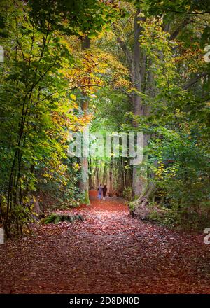 A couple take a walk in Stanmer Park during autumn. Brighton East Sussex England Uk Stock Photo