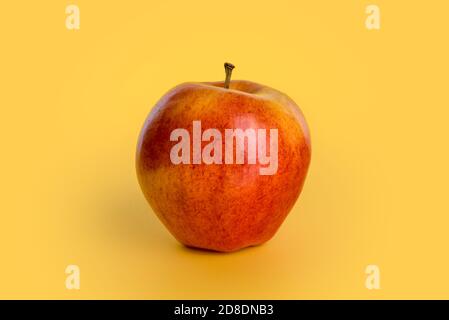 apple isolated on yellow background, autumn red fruit of the variety called royal gala Stock Photo