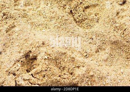 Beige sand pattern texture background Stock Photo