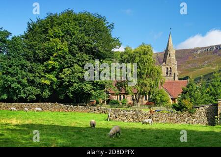 UK,Derbyshire,Peak District,Edale,Sheep Grazing in Field next to Holy Trinity Church with Kinder Scout in the background Stock Photo