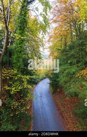 View from Symonds Yat Rock of the Wye Valley and River Wye in autumn with colourful trees and leaves Stock Photo