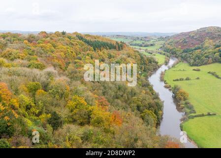 View from Symonds Yat Rock of the Wye Valley and River Wye in autumn with colourful trees and leaves Stock Photo