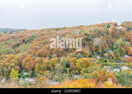 View from Symonds Yat Rock of the Wye Valley and River Wye in autumn with colourful trees and leaves Stock Photo