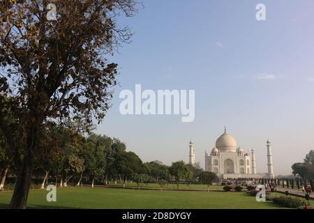 Taj Mahal offset with tree in foreground and large blue sky with space for copy