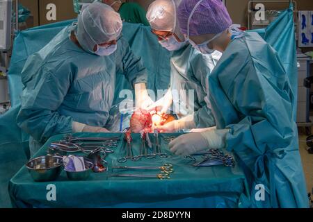 a team of gynecologists performs a caesarean section in an operating room Stock Photo