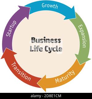 Diagram of the business life cycle Stock Vector