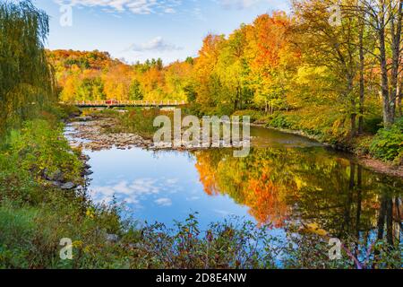 trees in beautiful fall colors reflected in quiet river stream Stock Photo