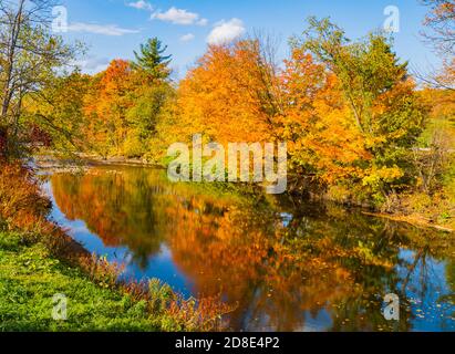 trees in beautiful fall colors reflected in quiet river stream Stock Photo