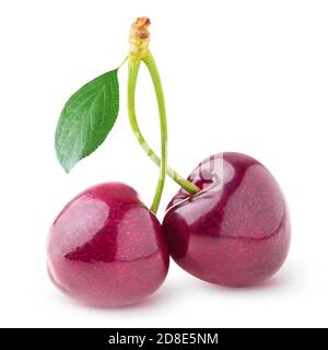 Isolated cherries. Two sweet cherry fruits on a stem with leaf isolated on white background Stock Photo