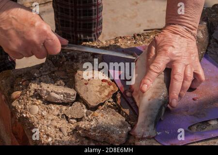 An elderly woman cuts a red sea northern fish. Preparing pink salmon for cooking. authentic local red caviar industry. Wrinkled strained female hands close-up. Stock Photo