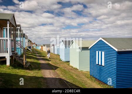 UK, Kent, Whitstable, Tankerton, dog walker between colourful beach huts Stock Photo