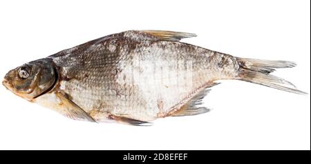 Dried freshwater fish, isolated on a white background Stock Photo
