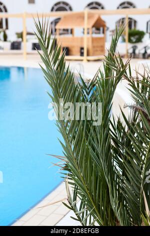 Green plants are on foreground with calm water of an empty swimming pool of hotel area, cancelled resort season Stock Photo