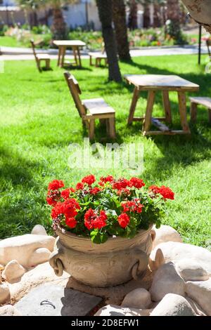 Earthenware jug with growing red flowers is in summer garden, wooden table and chairs for picnic are on green grass Stock Photo