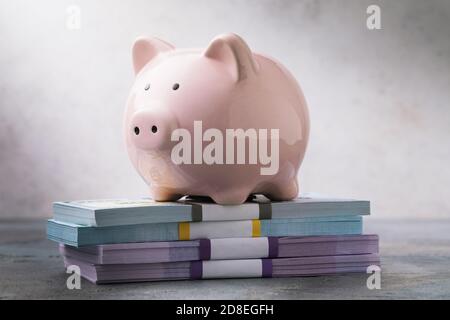 The piggy bank stands on the money. Concept on the topic of accumulating cash