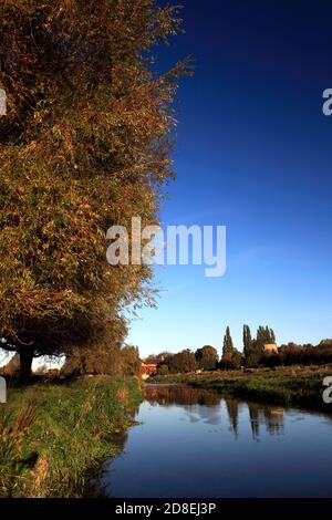 Autumn colours, river Nene Valley, near Castor village, Cambridgeshire, England; UK Stock Photo