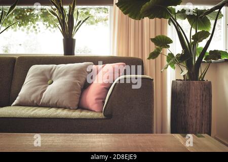 Modern design living room with close up stylish sofa and colorful pillows, trendy design with green house plant in retro home close up Stock Photo