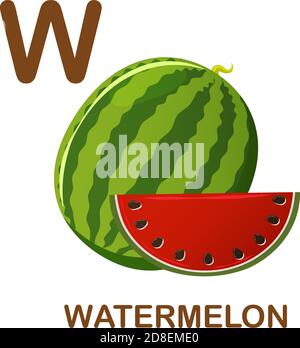 Watermelon vector icon. Illustration for alphabet on white background. Cartoon style. Stock Vector