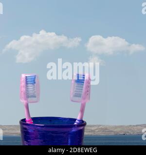 a pair of toothbrushes covered in a glass Stock Photo