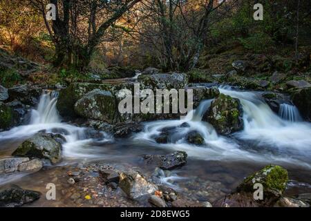 A section of High Force rapids and waterfalls, above the famous Aira Force waterfall in autumn, near Ullswater, Lake District, Cumbria, England, UK Stock Photo