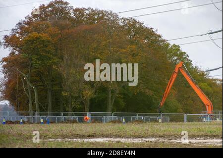 Aylesbury Vale, Buckinghamshire, UK. 28th October, 2020. HS2 were cutting huge limbs off trees in Grim's Ditch this morning. Environmental campaigners allege that HS2 do not have a wildlife licence allowing them to fell in this area. HS2 were not able to provide the licence. The construction of the highly controversial and over budget High Speed Rail from London to Birmingham puts 108 ancient woodlands, 33 SSSIs and 693 wildlife sites at risk. Credit: Maureen McLean/Alamy Stock Photo