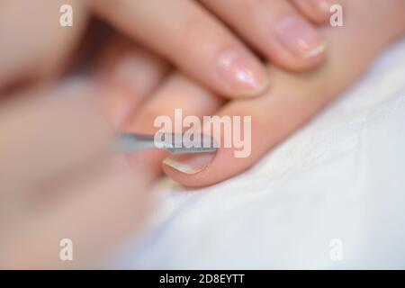 manicure in a beauty salon Stock Photo