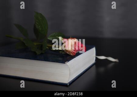 Close up of red rose on the book on the black desk at home. Copy space for design or text and blurred background Stock Photo
