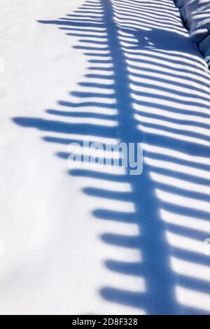 Picket fence casts shadows & patterns on fresh snow; Salida; Colorado; USA Stock Photo