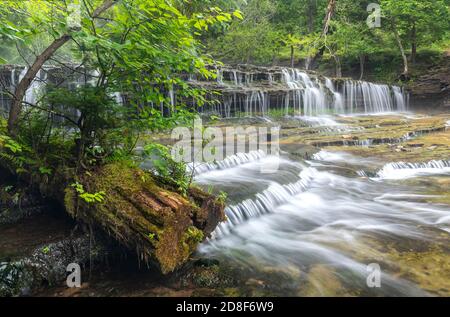 Au Train falls, near Munising, MI, USA, Nursery log in forefront, by Dominique Braud/Dembinsky Photo Assoc Stock Photo