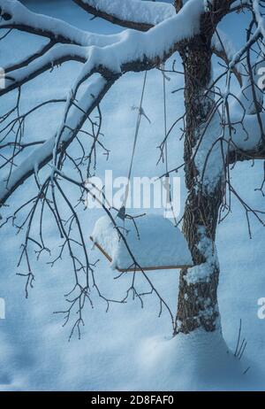 Fresh fallen snow on Elm tree with child's home made swing, Castle Rock Colorado USA. Photo taken in October. Stock Photo