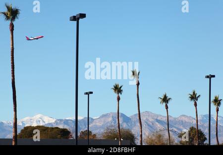 Palms and mounts Stock Photo