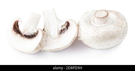 Fresh champignon mushrooms, isolated on white background. Edible mushrooms close up Stock Photo