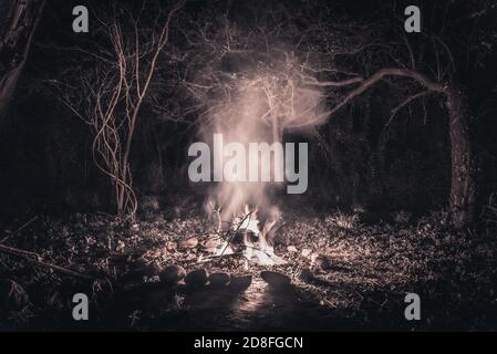 Flames of a campfire at night in a dark spooky forest surrounded by stones shaping strong shadows Stock Photo