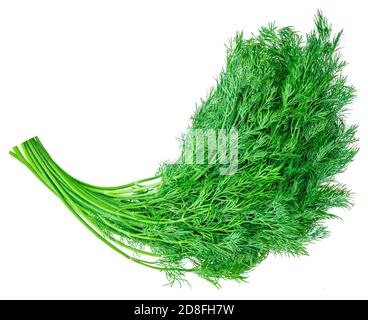 Dill  herb isolated on a white background. Top view. Macro Stock Photo