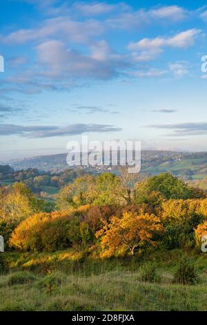 Looking over to painswick from sheepscombe in the early morning autumn light. Sheepscombe, Cotswolds. Gloucestershire, England