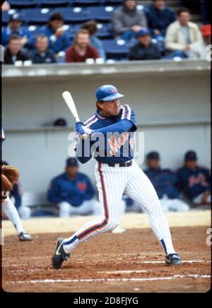 New York Mets Gary Carter batting at the spring training baseball facility in  St. Petersburg, Florida on March 12, 1989. Stock Photo