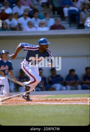 New York Mets Mookie Wilson batting at the spring training baseball  facility in St. Petersburg, Florida on March 12, 1989 Stock Photo - Alamy