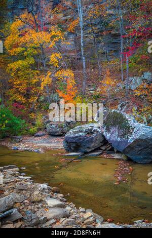 Boulders and fall color along Falling Water Creek in the Arkansas Ozark National Forest area. Stock Photo