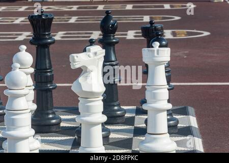 Big chess in park on chessboard. Giant pieces of white chess knight, black chess king and pawns close-up. Selective focus. Stock Photo