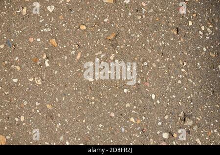 Texture of gray asphalt with white small stones close up Stock Photo