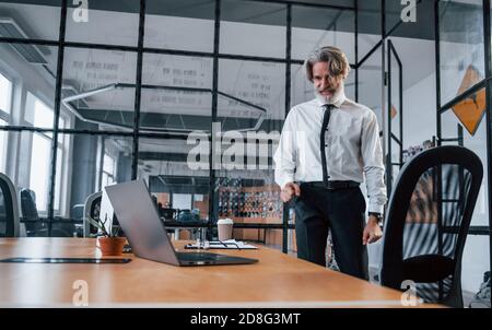 Mature businessman with grey hair and beard in formal clothes is in the office Stock Photo