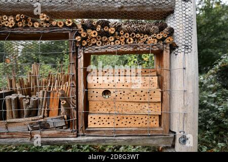 Detail of part of insect house hotel structure made out of natural wood material created to provide shelter for insects to prevent their extinction Stock Photo