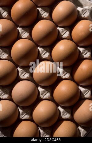 Top view pattern of eggs in a carton tray. Abstract food background. Stock Photo