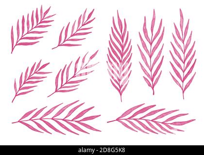 Pink watercolor leaves. Set of 9 watercolor palm leaves. Vector illustration isolated on white background. Stock Vector