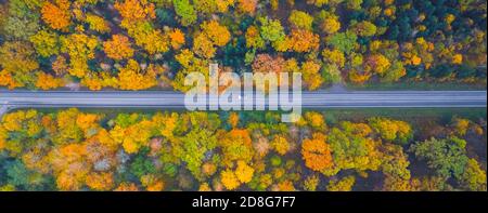 Aerial view of the road passing the forest with a car passing by Stock Photo