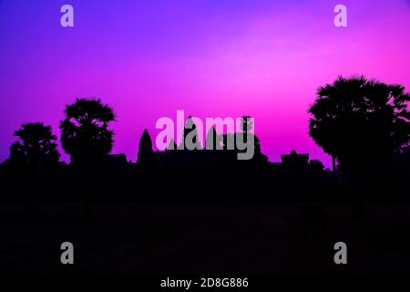 Panorama Mist sunrise tropical morning violet mauve colorful sky landscape Palm trees. Famous silhouette of Cambodian ancient temple Angkor wat, Angko Stock Photo