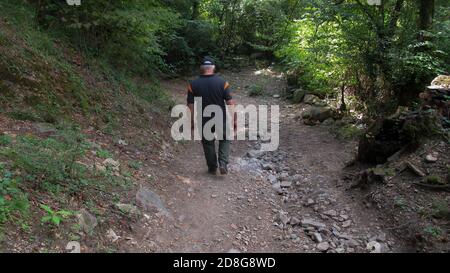 Single middle aged man walking alone in a wild forest Stock Photo